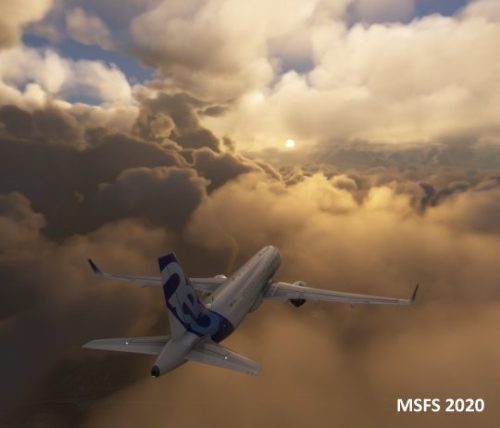 005-21102023 CCP6-CYMX 08