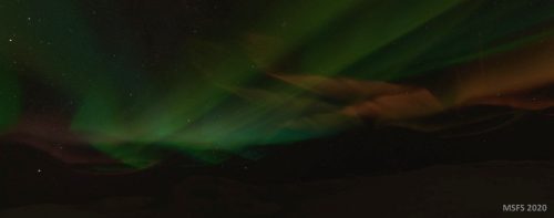 003-11112023 ENTC-View-pointst 07