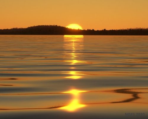 04-22.06.2024 LateEvening-EFRO 06