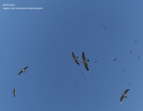 27022025 08 UK EGNS-EGFD19