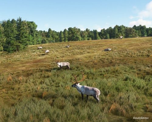 0706-06072025 NordnorwegenSommer 89