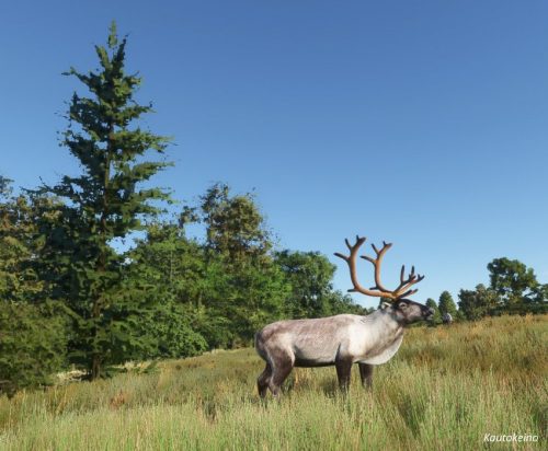 0706-06072025 NordnorwegenSommer 90